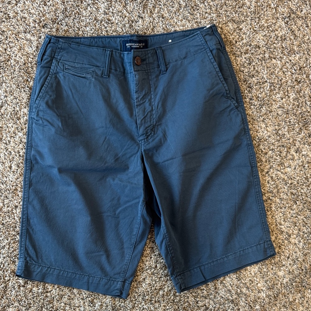 American Eagle Outfitters Dark Blue Flat Front Shorts